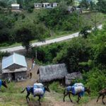 Resultados productivos en las montañas precisan transformarse