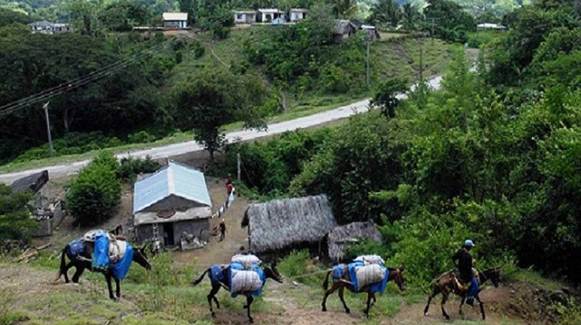 Resultados productivos en las montañas precisan transformarse