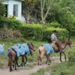 Guateque en la Agricultura felicita a los oyentes de montaña