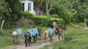 Guateque en la Agricultura felicita a los oyentes de montaña