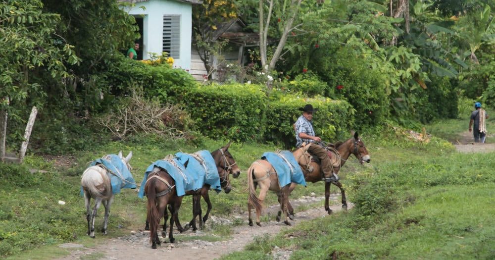 Guateque en la Agricultura felicita a los oyentes de montaña