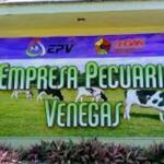 Pecuaria Venegas incluye al alimento animal dentro de sus líneas estratégicas