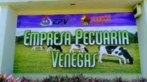 Pecuaria Venegas incluye al alimento animal dentro de sus líneas estratégicas