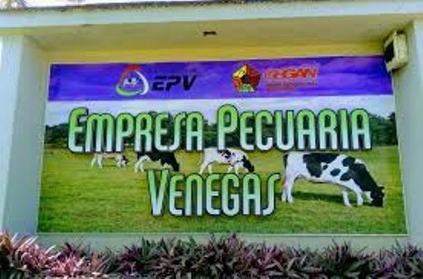 Pecuaria Venegas incluye al alimento animal dentro de sus líneas estratégicas