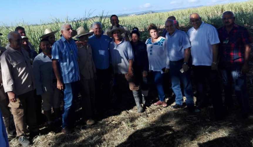 Las familias de los Carlos o por donde nace el azúcar