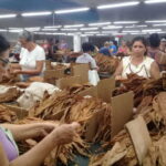Sancti Spíritus por incrementar aporte a la economía a través de las exportaciones