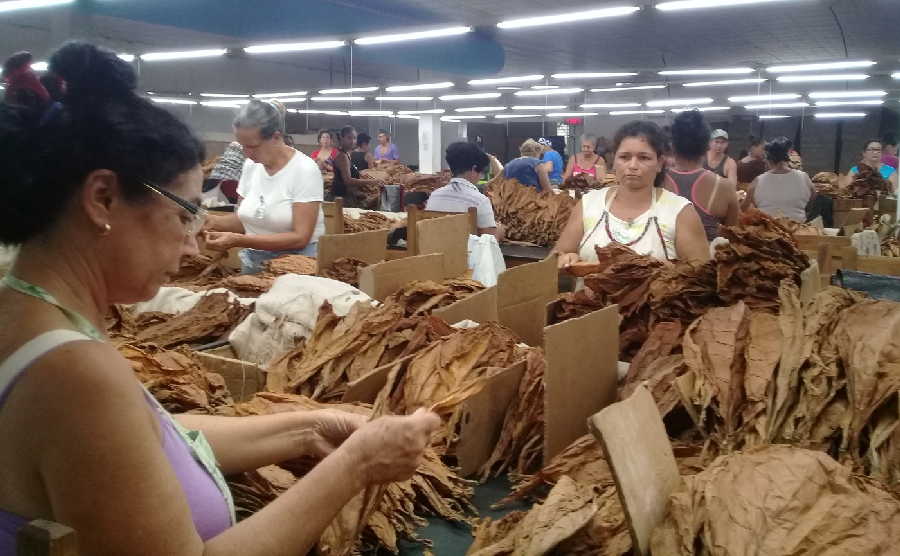 Sancti Spíritus por incrementar aporte a la economía a través de las exportaciones
