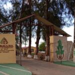 Contribuye centro científico de Cabaiguán al desarrollo tabacalero