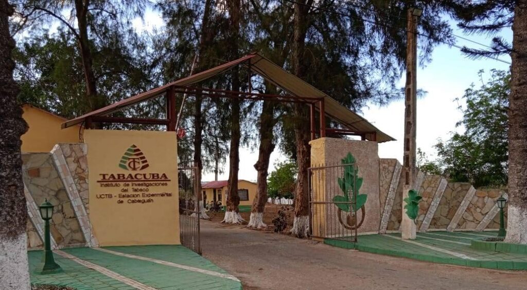 Contribuye centro científico de Cabaiguán al desarrollo tabacalero