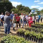 Incentivan desde Fomento producción de frutales en las montañas cubanas
