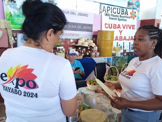 Expo Yayabo 2024: una mirada al mañana