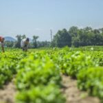 Proyecto de desarrollo local beneficiará a tres municipios espirituanos