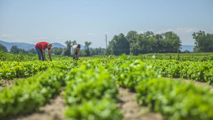 Proyecto de desarrollo local beneficiará a tres municipios espirituanos