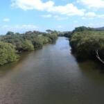 Sancti Spíritus, sede del Día Mundial del Medio Ambiente