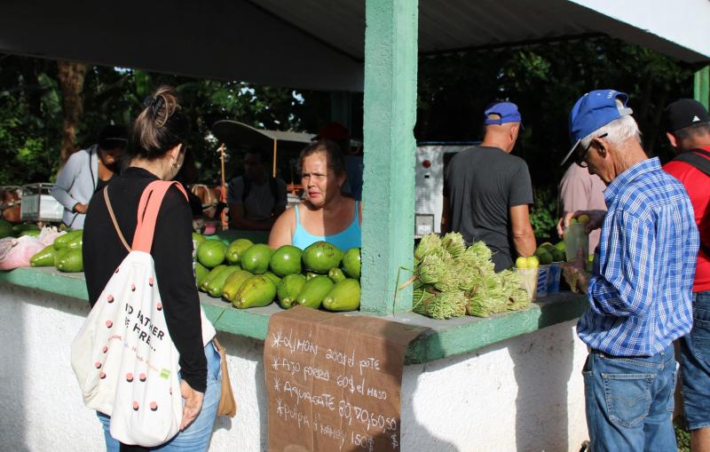 Feria dominical en Sancti Spíritus, ¿libre de ilegalidades?
