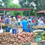 Ferias dominicales se mantienen en Sancti Spíritus