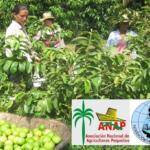 Reconocen en La Sierpe labor integradora de las brigadas FMC-ANAP