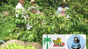 Reconocen en La Sierpe labor integradora de las brigadas FMC-ANAP