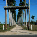 Importancia del Museo Campesino y sus vigencias en las tradiciones del territorio