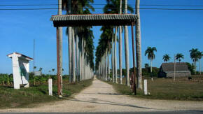 Importancia del Museo Campesino y sus vigencias en las tradiciones del territorio