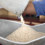 ¿Podrán la soberanía alimentaria y el autoabastecimiento municipal garantizar el arroz que le falta hoy a su plato?