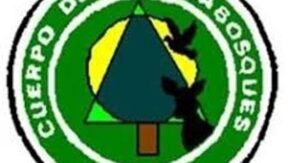 Guardabosques de Yaguajay impulsan protección de recursos naturales