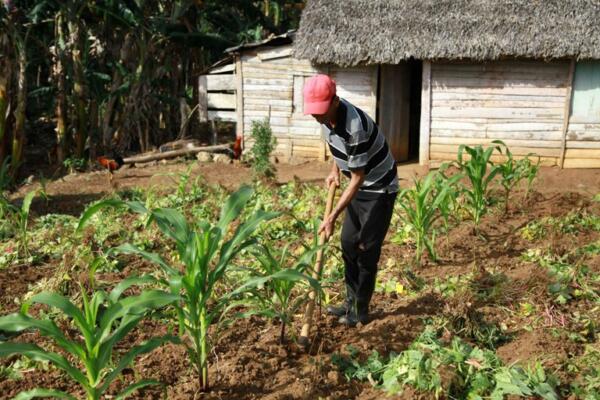 Sudar la tierra es la única manera de producir comida, dice. Foto: Oscar Alfonso Sosa.