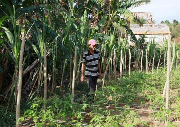 En su patio no hay un espacio vacío. Foto: Oscar Alfonso Sosa.