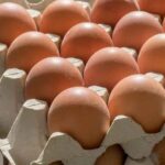 Colombia aspira a exportar 40 millones de huevos a Cuba en 2024