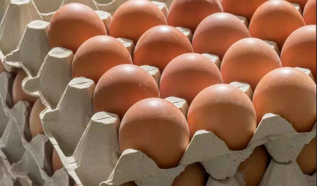 Colombia aspira a exportar 40 millones de huevos a Cuba en 2024