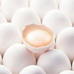 Huevos de producción estatal reaparecen con destinos limitados  en Sancti Spíritus