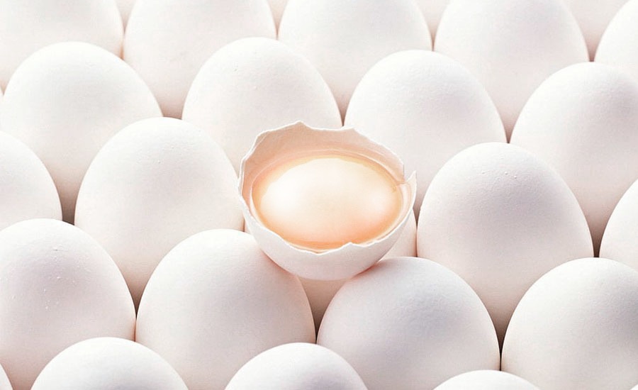 Fin del misterio:  ni gallinas enfermas,  ni huevos importados