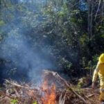 Saldo favorable en campaña contra incendios forestales en Sancti Spíritus