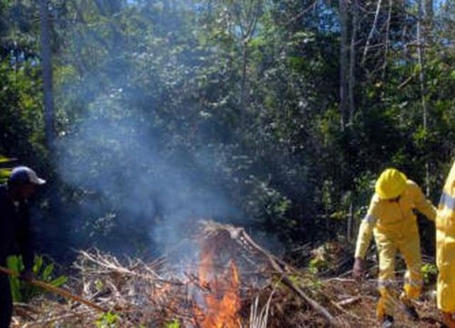 Saldo favorable en campaña contra incendios forestales en Sancti Spíritus