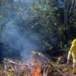 Refuerzan en Yaguajay prevención de incendios forestales