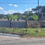 Comenzaron acciones constructivas del crematorio de Sancti Spíritus