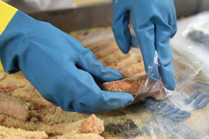 Unidad Agroindustrial de Empresa Cárnica busca alternativas al déficit de harina de trigo