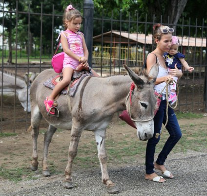 Estas imágenes se multiplican en el zoológico espirituano. Foto: Oscar Alfonso Sosa.