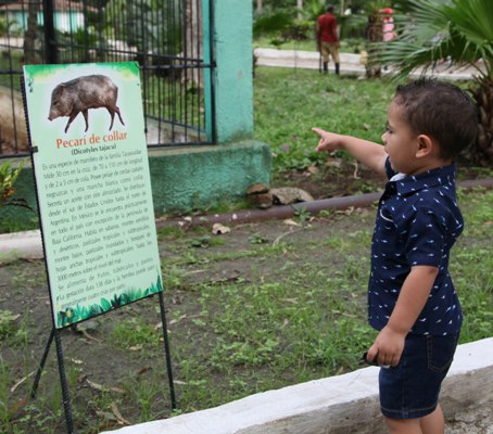 Los pequeños se adentran en el conocimiento del mundo animal. Foto: Oscar Alfonso Sosa.