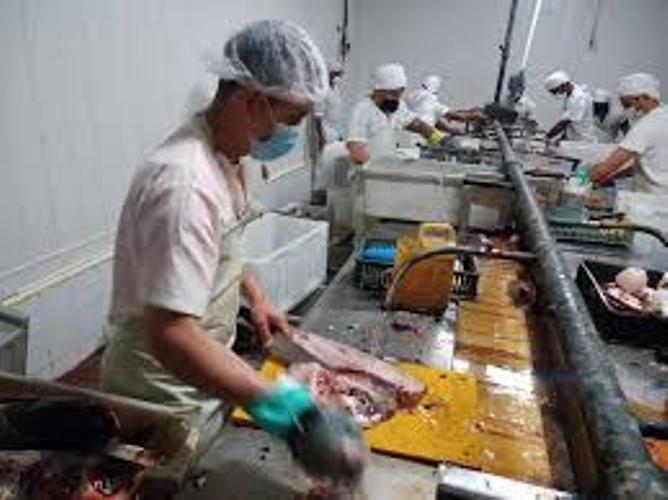 Garantizan calidad alimentaria en la industria pesquera de Sancti Spiritus