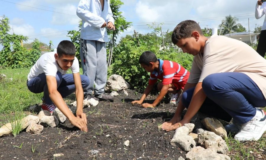 Educación resiliente deja huellas en Valle Grande
