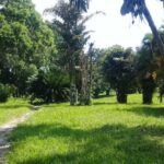 Jardín Botánico de Sancti Spíritus, una de las opciones recreativas del verano