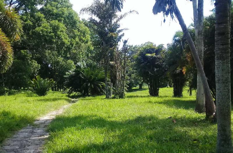 Jardín Botánico de Sancti Spíritus, una de las opciones recreativas del verano