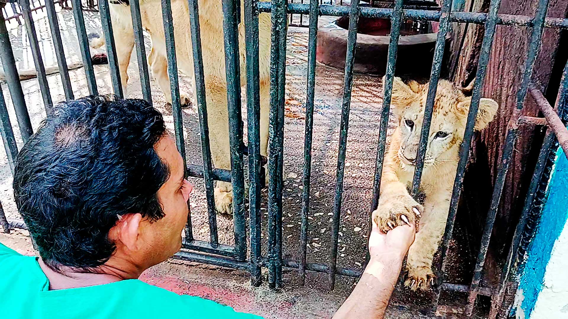 Juan Ramón Cueto y el bienestar del Zoológico espirituano