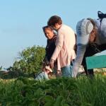 Desarrollan jornada de trabajo voluntario en Sancti Spíritus