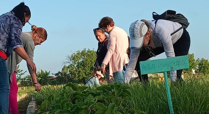 Desarrollan jornada de trabajo voluntario en Sancti Spíritus