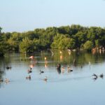 Parque Nacional Caguanes propicia acciones encaminadas a la protección de sus áreas