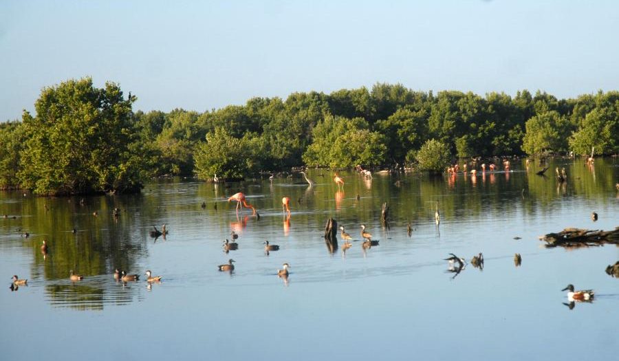 Parque Nacional Caguanes propicia acciones encaminadas a la protección de sus áreas