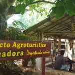 El renacer de La Picadora