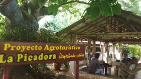 A poco más de 20 kilómetros de Yaguajay se encuentra la comunidad rural La Picadora, sede del proyecto de igual nombre. Foto: Wilber Zada.